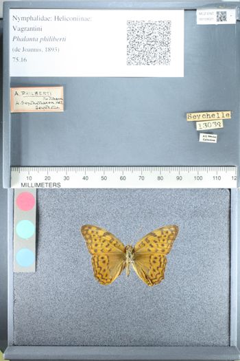 Media type: image;   Entomology 159021